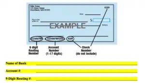 35+ Blank Check Template Free Download!! - Best Printables