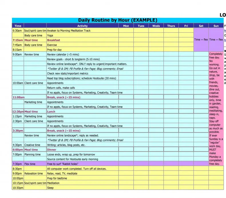 daily planner make sure